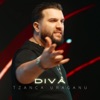 Diva - Single