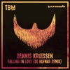 Falling In Love by Dennis Kruissen iTunes Track 6