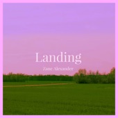 Landing artwork
