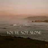Punctual - You're Not Alone