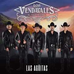Las Agüitas by Los Vendavales de Adán Meléndez album reviews, ratings, credits