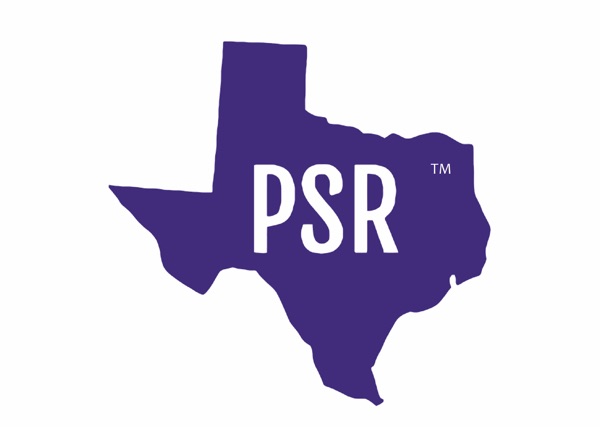 Pantsuit Republic cover