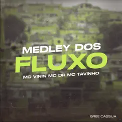Medley dos Fluxo (feat. MC Tavinho) Song Lyrics