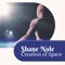 Harmony of Senses - Shane Nole lyrics