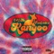 Kangoo (feat. TiaCorine) - 645AR lyrics