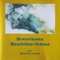 Kaymos - Brasschaats Mandoline Orkest & Marcel De Cauwer lyrics