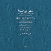 Shahr-e Bi seda artwork