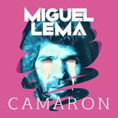 Camarón (Extended Mix) artwork