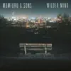 Wilder Mind (Deluxe Edition) album lyrics, reviews, download