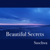 Beautiful Secrets - EP