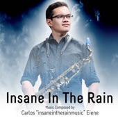 insaneintherainmusic - Insane in the Rain