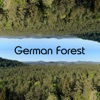 German Forest Sounds Background Spa Noise