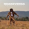 Ndanzvenga - Single