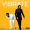 Vibrate (feat. Timaya) - SUPERSTAR DJ Xclusive lyrics