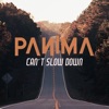 Can't Slow Down - Single