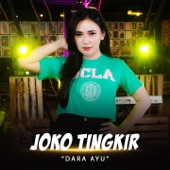 Joko Tingkir artwork