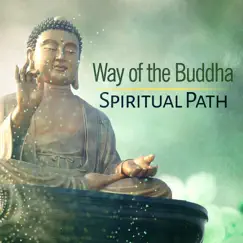 Way of the Buddha: Spiritual Path, State of Enlightenment, Therapy Yoga Breathing, Buddhist Meditation Music, Mind Focus by Buddhist Meditation Music Set album reviews, ratings, credits