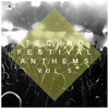 Techno Festival Anthems, Vol. 5