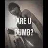 Are U Dumb? - Single album lyrics, reviews, download