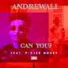Can You? - Single (feat. P-Djee Money) - Single album lyrics, reviews, download