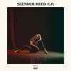 Slender Reed - Single