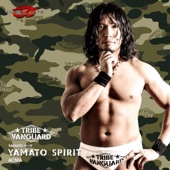 Yamato Spirit artwork