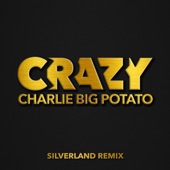 Crazy (Silverland Remix) artwork