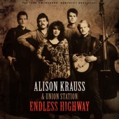 Endless Highway (Live 1989) artwork