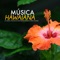 Sueños Hawaianos - Hawaii Luau lyrics