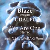 We Are One (DJ KAWASAKI Fusion Funk Re-Groove Mix) artwork