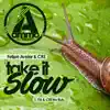 Take It Slow (FA & CRS Re-Rub) - Single album lyrics, reviews, download