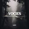 Voices - Single album lyrics, reviews, download