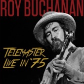 Roy Buchanan - Can I Change My Mind? (Live)