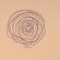 Nest in a Storm - mandala eyes lyrics