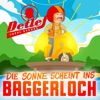 Die Sonne scheint ins Baggerloch - Single