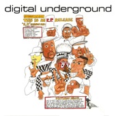 Same Song by Digital Underground