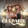 El Culpable - Single