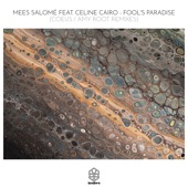 Fool's Paradise (feat. Celine Cairo) [Amy Root Remix] artwork