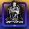 Brațele care dor - Single