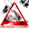 Arcadian (Stereospread Remix) - Symbion Project lyrics