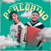 Peregrino - Single