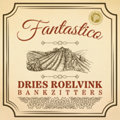 Fantastico (feat. Bankzitters) - Dries Roelvink Cover Art