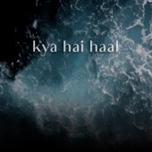 Kya Hai Haal artwork