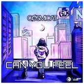 Can You Feel (Extended Mix) artwork