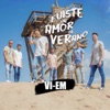 Fuiste un Amor de Verano - Single