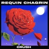 Crush (feat. Anaïs Demoustier) - Single