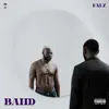 B A H D album lyrics, reviews, download