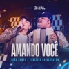 Amando Você (Ao Vivo) - Single