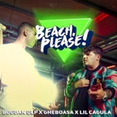 Dacă n-ai bani (feat. Beach & Please!) artwork