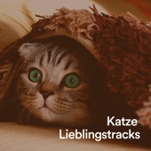 Musik für das Schnurren der Katze artwork